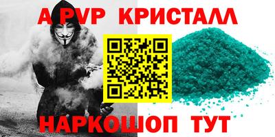 стаф Будённовск